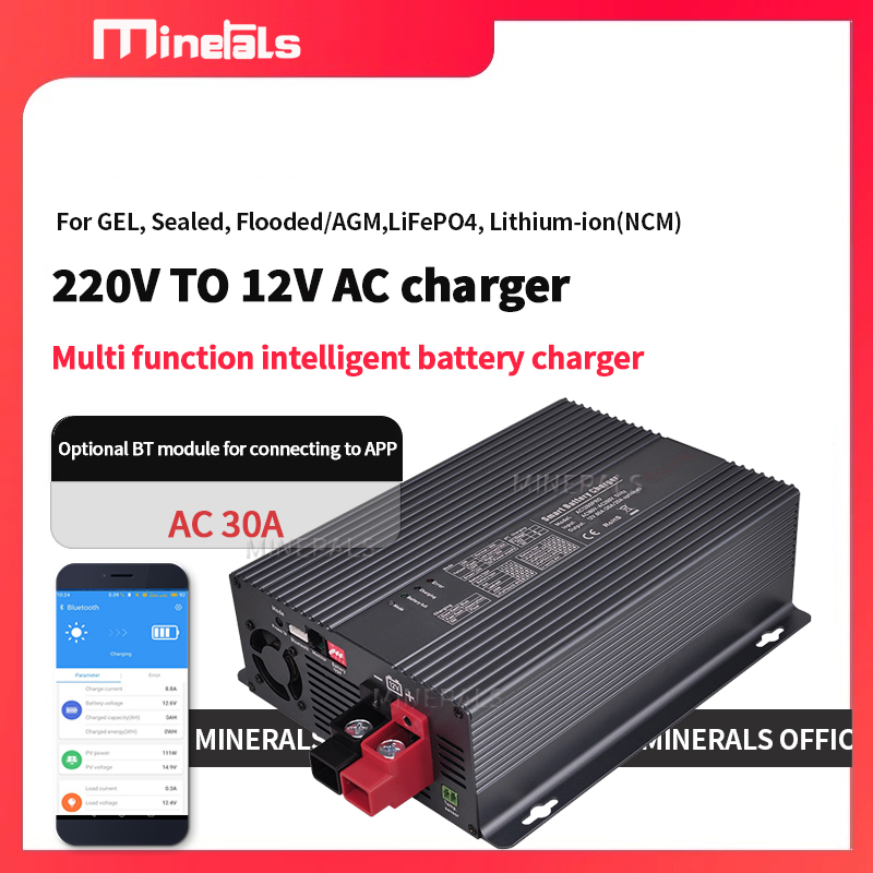 Smart Battery Charger AC to DC - Lipo Battery Charger 评论和价格